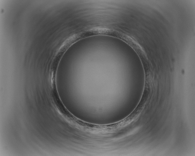 X0000086220024200703291223