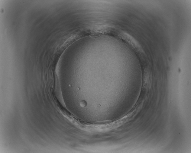 X0000086220025200703291223