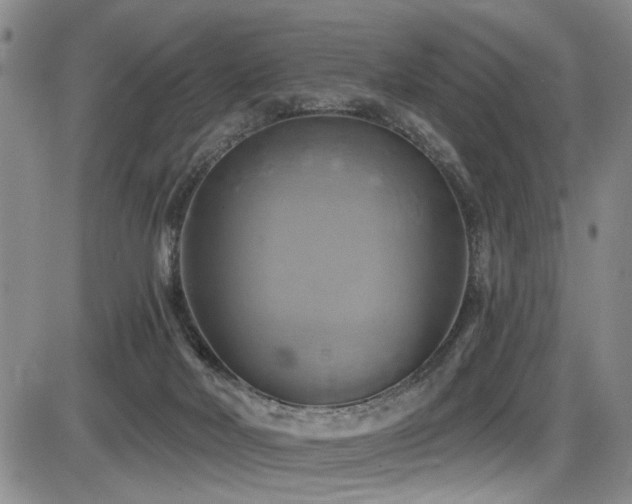 X0000086220026200703291223