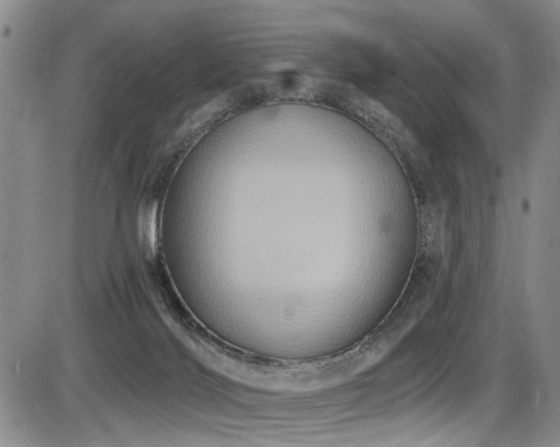 X0000086220028200703291223