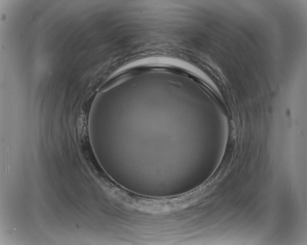 X0000086220029200703291223