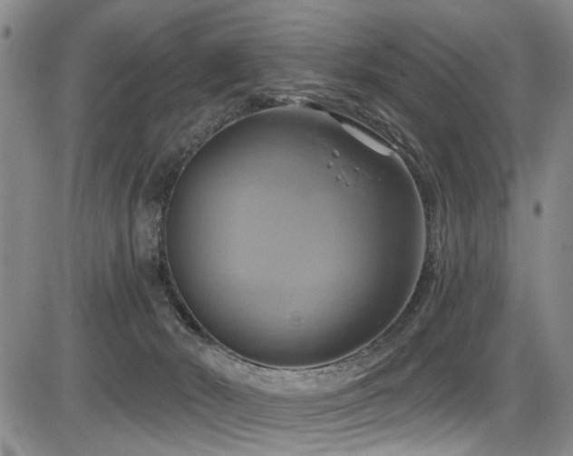 X0000086220030200703291223