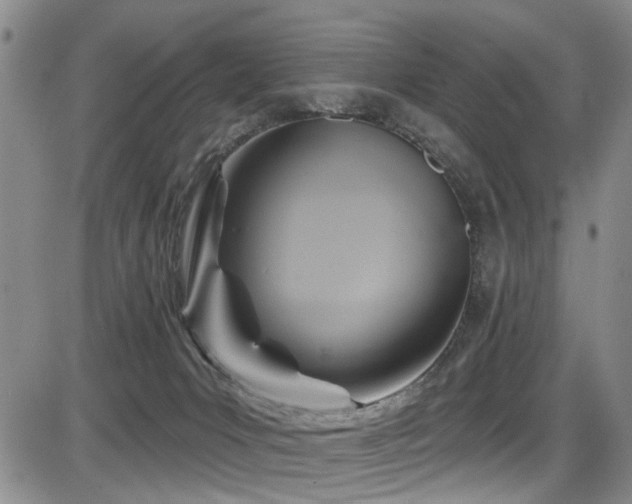 X0000086220031200703291223