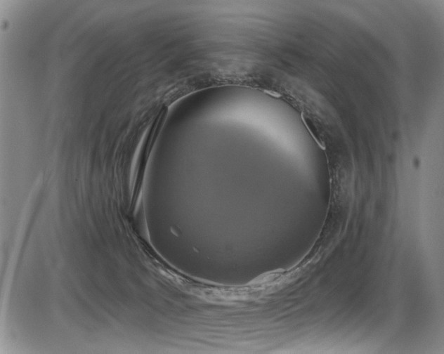 X0000086220033200703291223