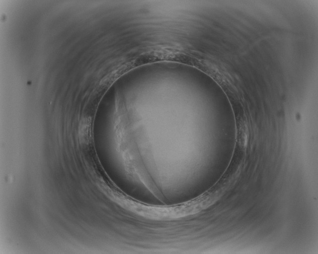 X0000086220034200703291223