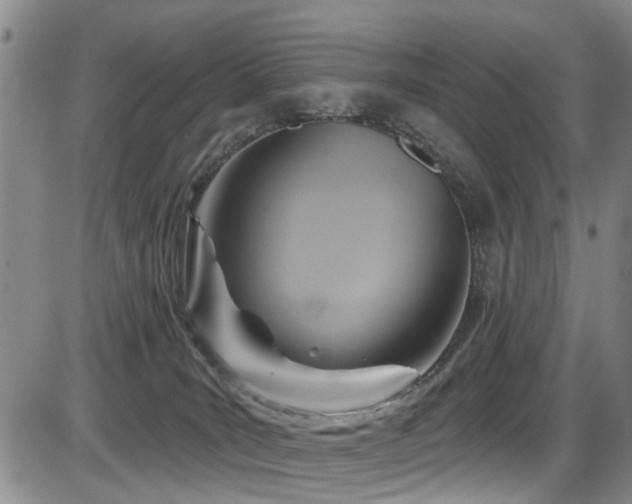 X0000086220035200703291223