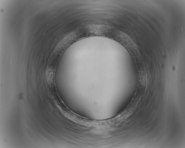 X0000086220036200703291223