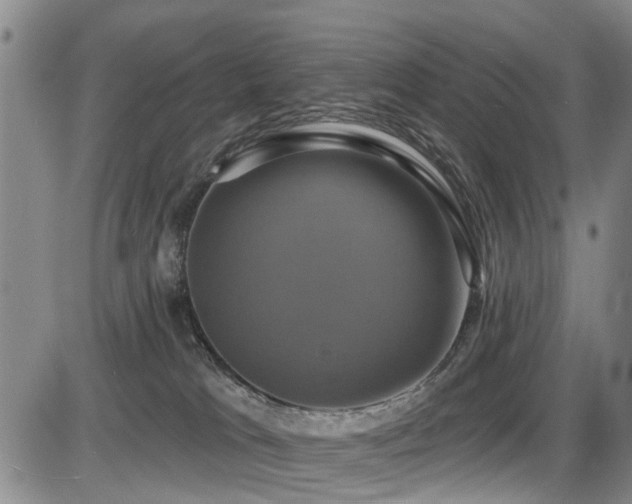 X0000086220037200703291223