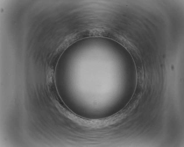 X0000086220038200703291223