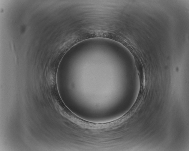 X0000086220039200703291223