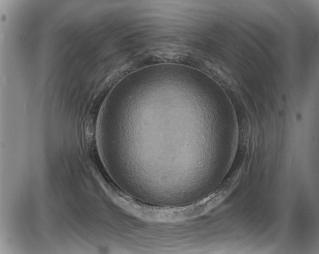 X0000086220040200703291223