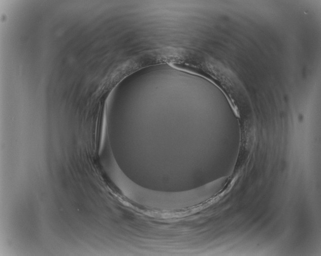 X0000086220041200703291223