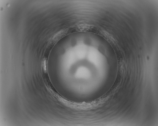 X0000086220042200703291223