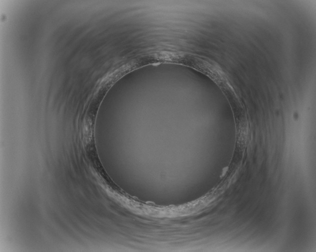 X0000086220043200703291223