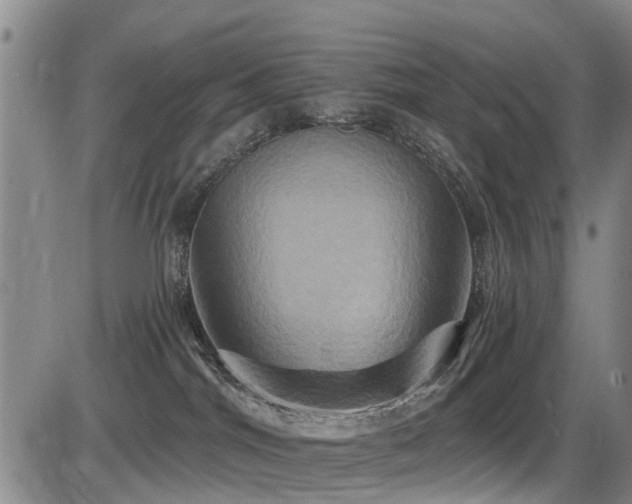 X0000086220044200703291223