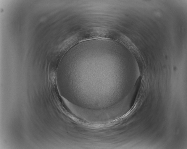 X0000086220045200703291223