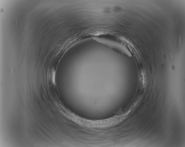 X0000086220046200703291223