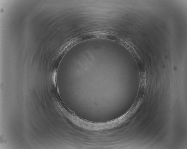 X0000086220047200703291223