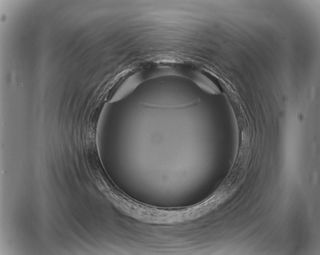 X0000086220048200703291223