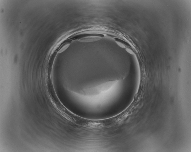 X0000086220055200703291222