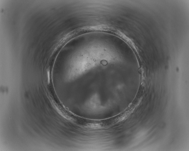 X0000086220061200703291222
