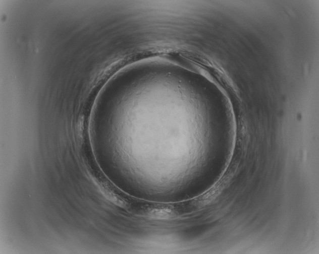 X0000086220066200703291222