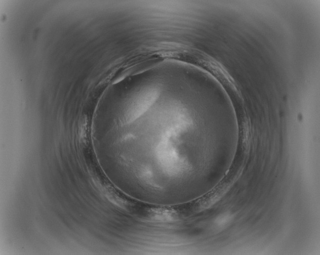 X0000086220073200703291222