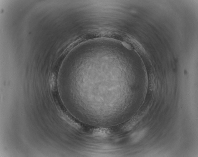 X0000086220077200703291223