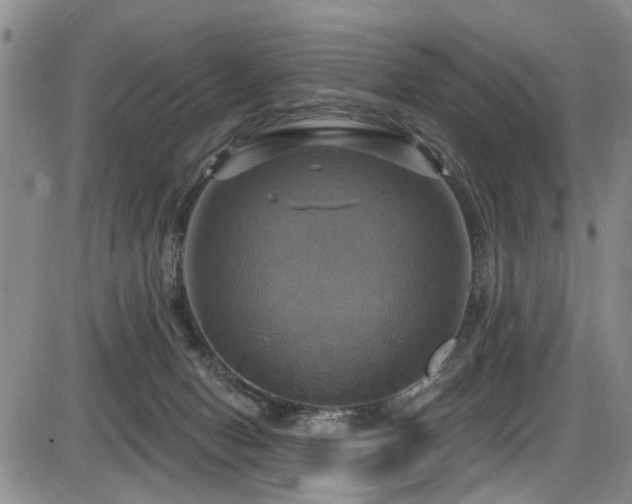 X0000086220078200703291223