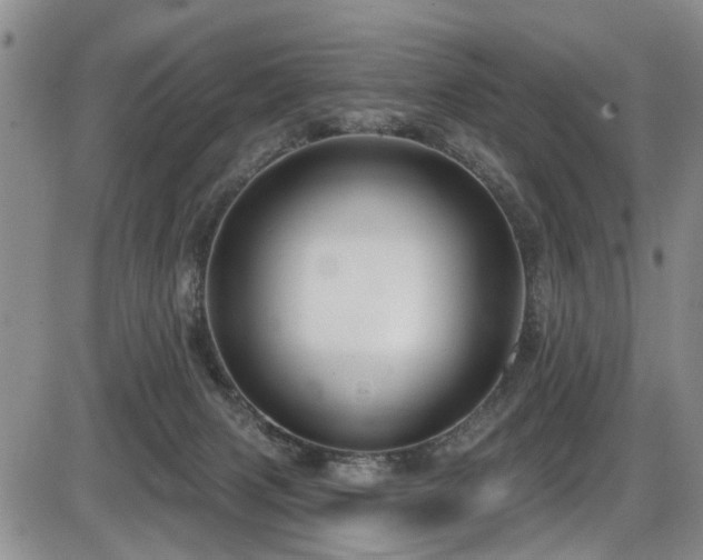 X0000086220079200703291223