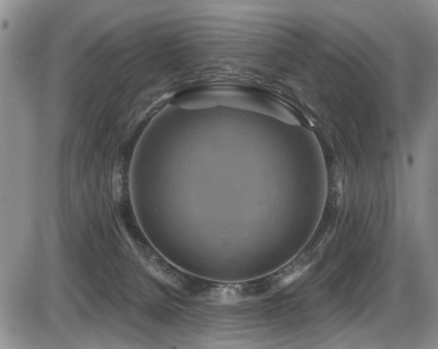 X0000086220080200703291223