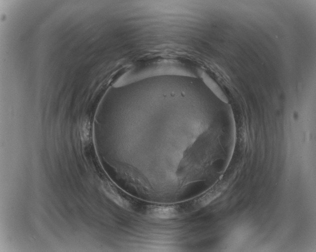 X0000086220081200703291223