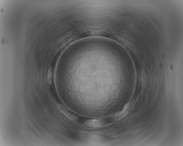 X0000086220082200703291223