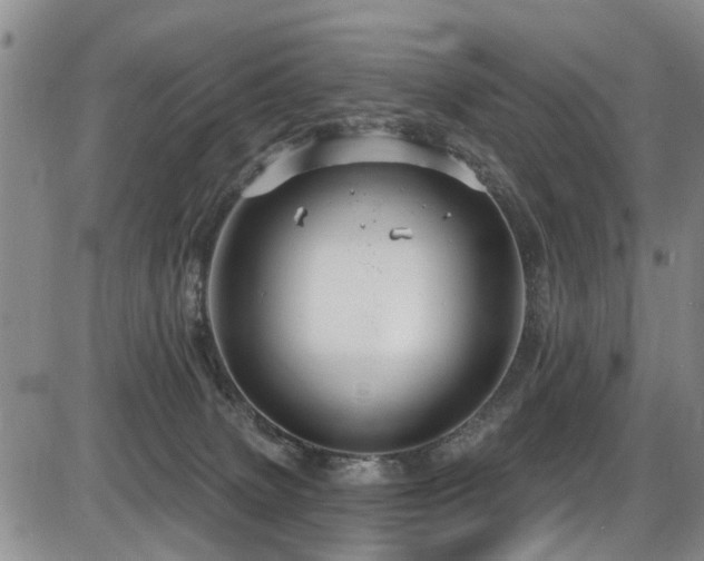 X0000086220083200703291223