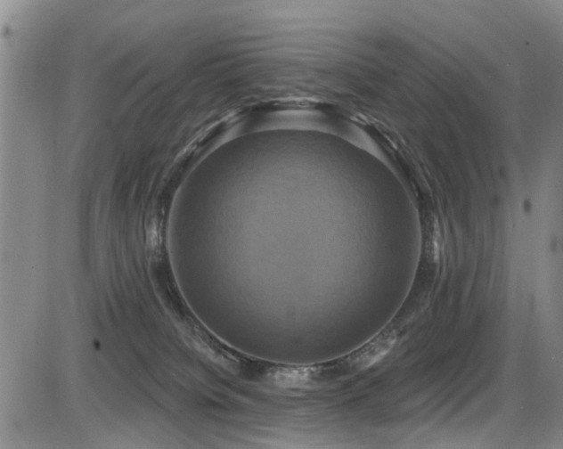 X0000086220084200703291223