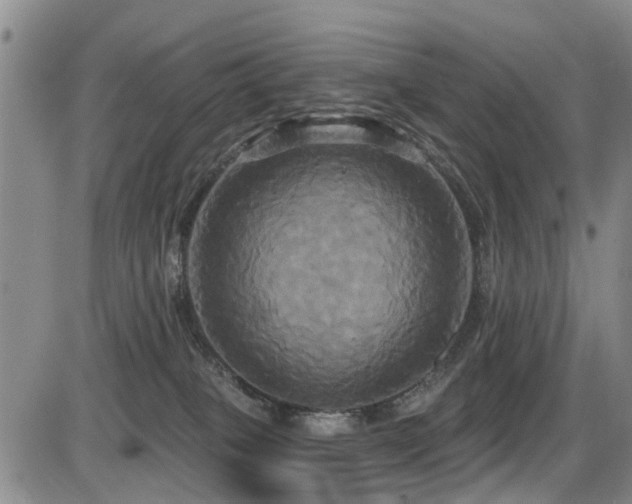 X0000086220085200703291223