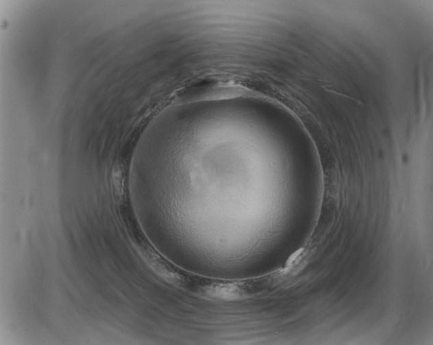 X0000086220086200703291223