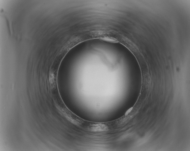 X0000086220087200703291223