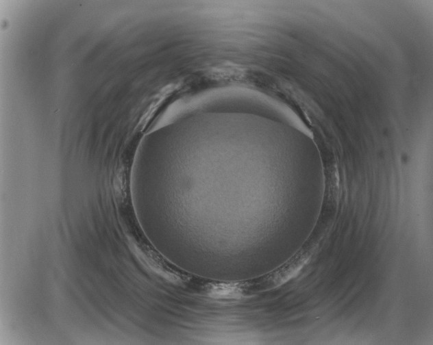 X0000086220088200703291223