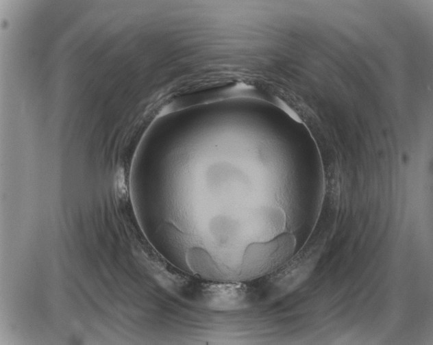 X0000086220089200703291223