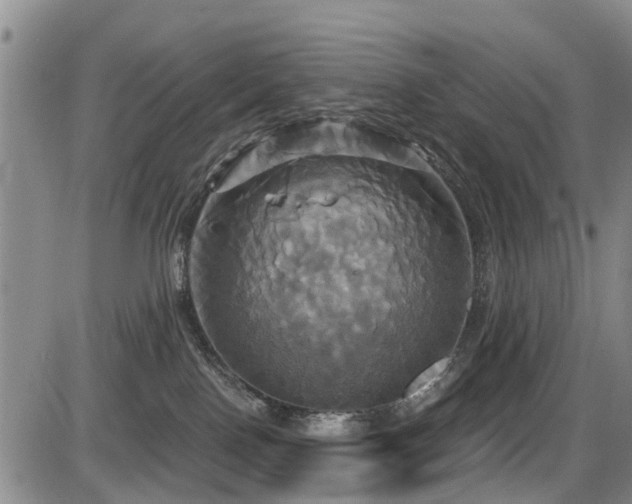 X0000086220090200703291223