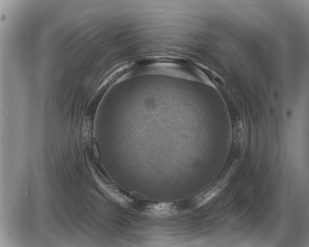 X0000086220092200703291223