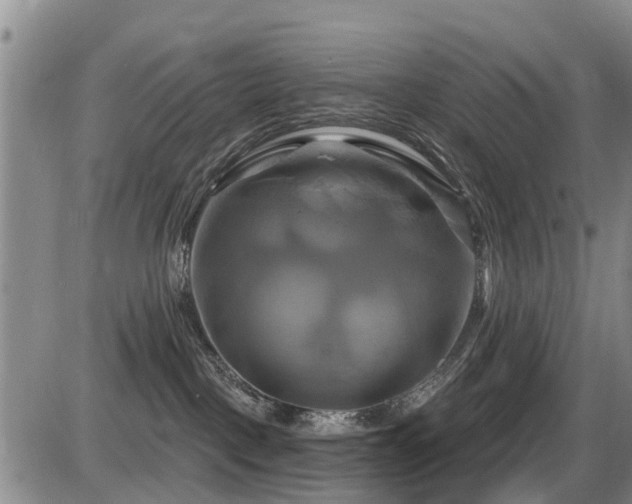 X0000086220093200703291223