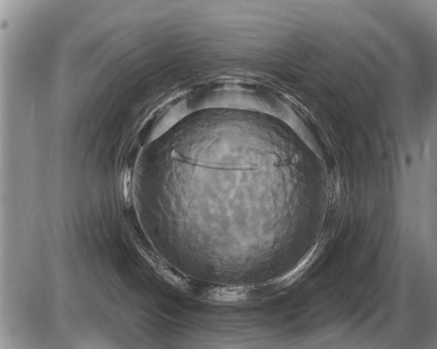 X0000086220094200703291223