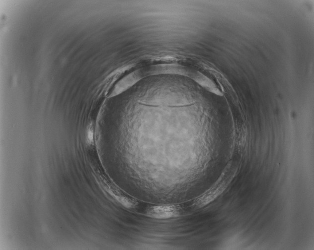 X0000086220095200703291223