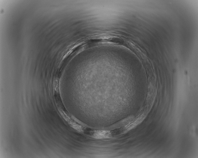 X0000086220096200703291223