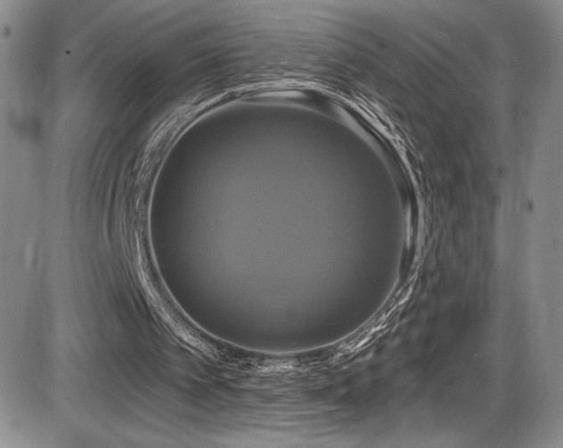 X0000086220097200703291222