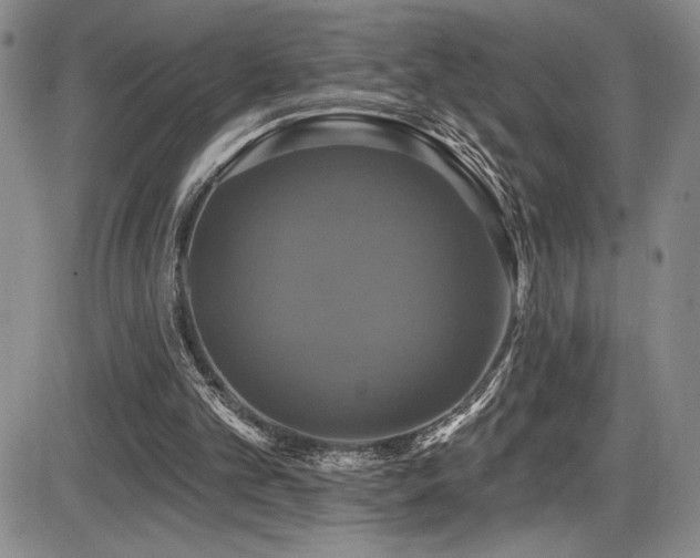 X0000086220101200703291222