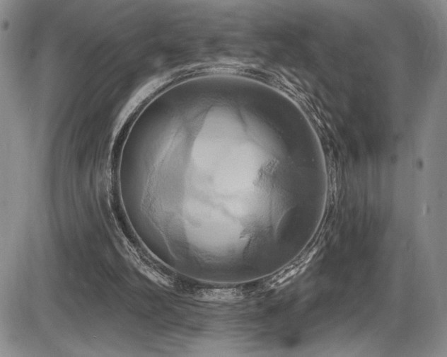 X0000086220102200703291222