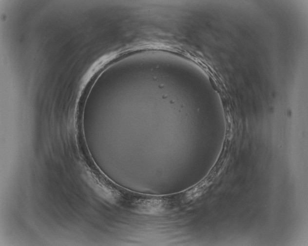 X0000086220104200703291222